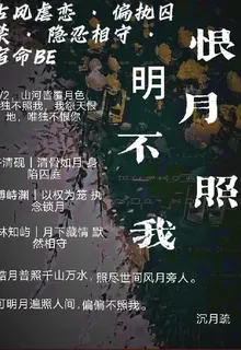 恨明月不照我 封面