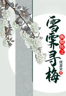 甄嬛傳之雪霽尋梅 封面