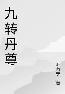 九轉金尊 封面
