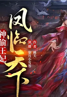 神偷王妃：鳳臨天下 封面
