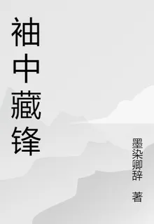 袖中藏鋒 封面