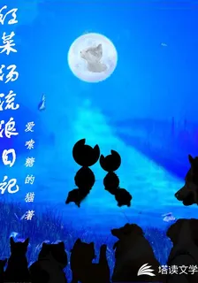 紅菜湯流浪日記 封面
