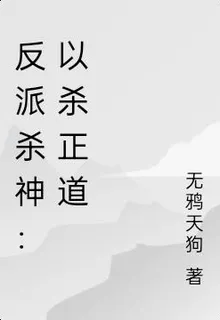 反派殺神：以殺正道 封面