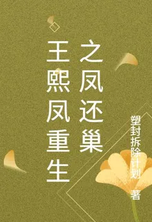 王熙鳳重生之鳳還巢 封面