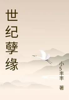 世紀孽緣 封面